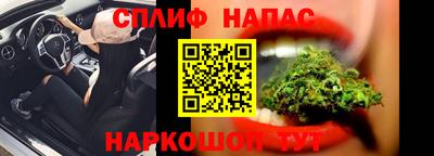 прущие грибы Мариинск