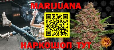 прущие грибы Мариинск