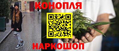 спайс Малгобек